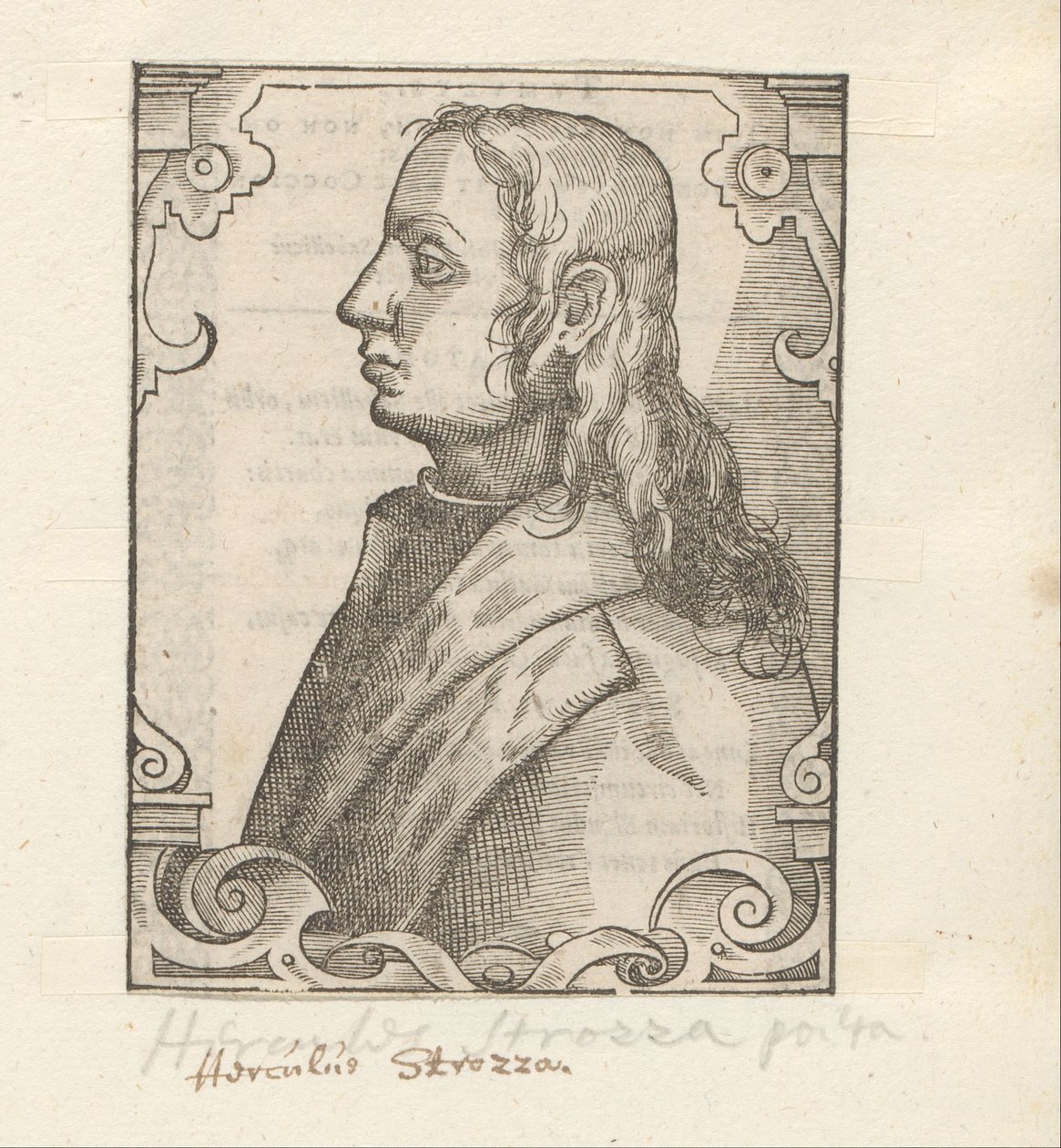 Portrét van Ercole Strozzi od Anonymous