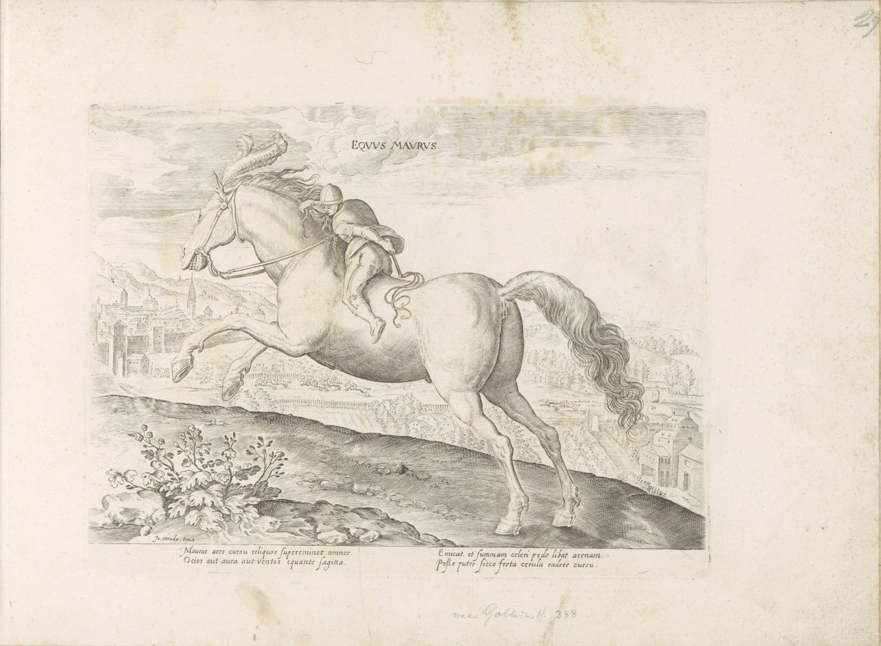 Renpaard se setkal s Ruiterem Maurský kůň (název na předmětu) Paardenrassen uit de Koninklijke stallen van Don Juan van Oostenrijk (název série) Kůň, ve kterém se vybírají všechny druhy šlechticů: chování koní rozlišených z různých částí světa (...) (název od Anonymous