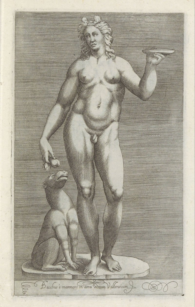 Sochař van Bacchus en een hond Bacchus a mramor v oblasti paláce Vallens (název na objektu) Starožitné sochy v Římě (název série) Ikony starověkých soch města Říma, které jsou vidět na veřejných místech (název série) od Anonymous