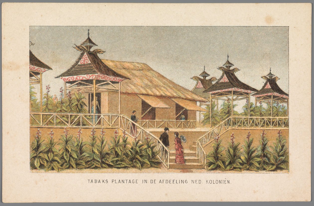 Tabáková plantáž holandských kolonií na světové výstavě v Amsterdamu, 1883 Tabáková plantáž v sekci Ned: Kolonie (název na objektu) Vzpomínka na Amsterdam v roce 1883 (název série na objektu) od Anonymous