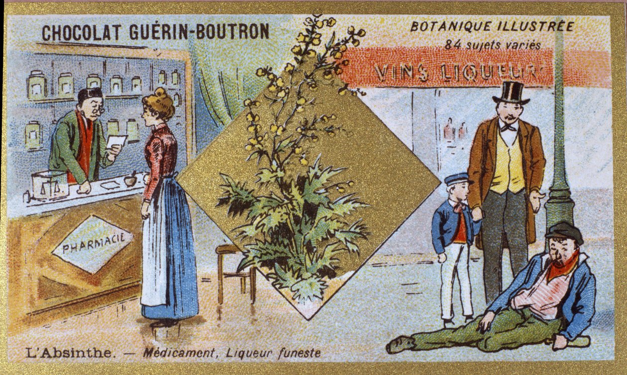 Absint: lék a smrtící likér. Gravírování (chromo). Reklamní chromolitografie pro čokolády Guerin-Boutron, konec 19. století. Botanická řada Illustree. od Anonymous Anonymous