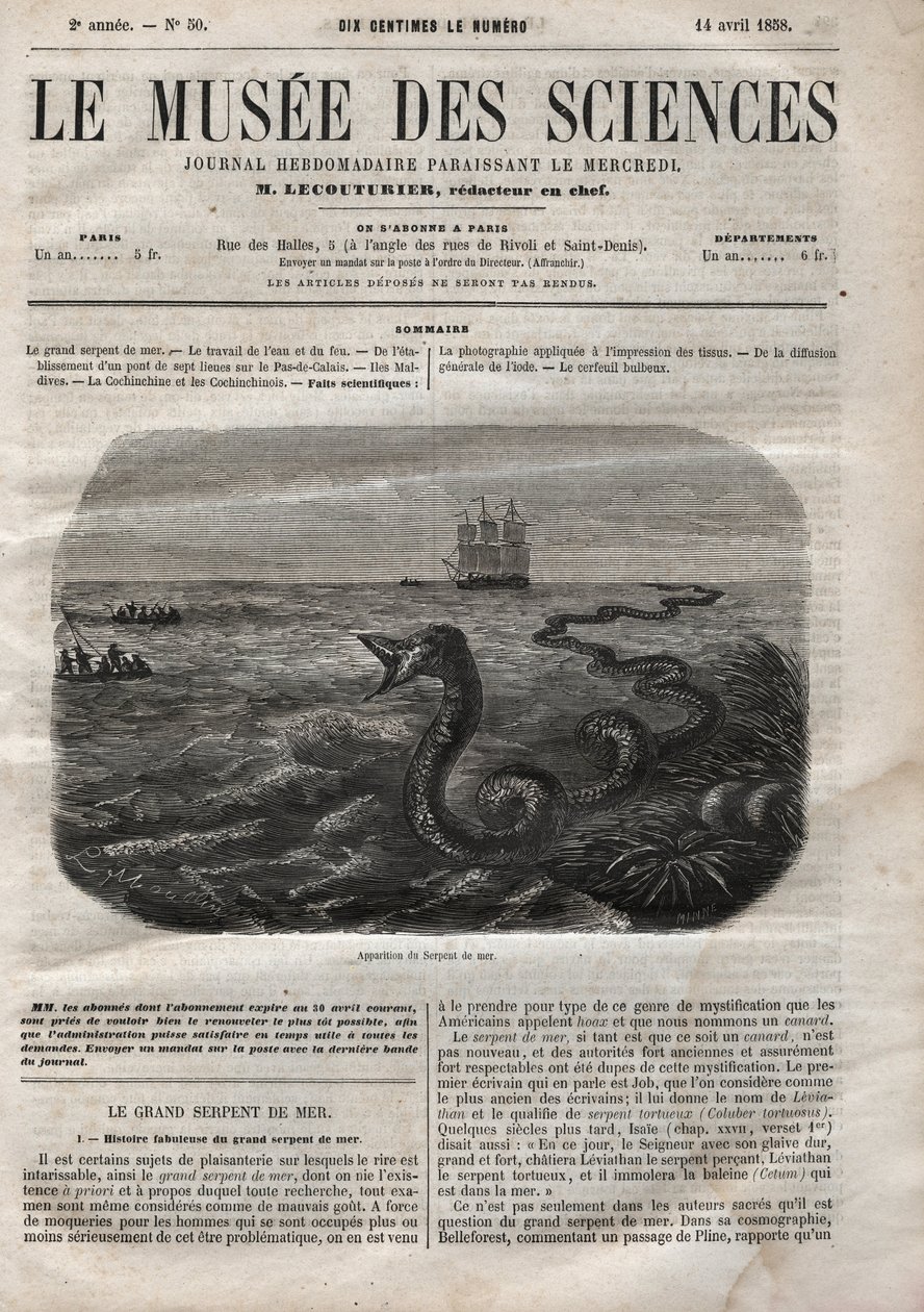 Vzhled mořského hada. Rytina z roku 1858. Jedno z „Musee des sciences““ ze 14. dubna od Anonymous Anonymous
