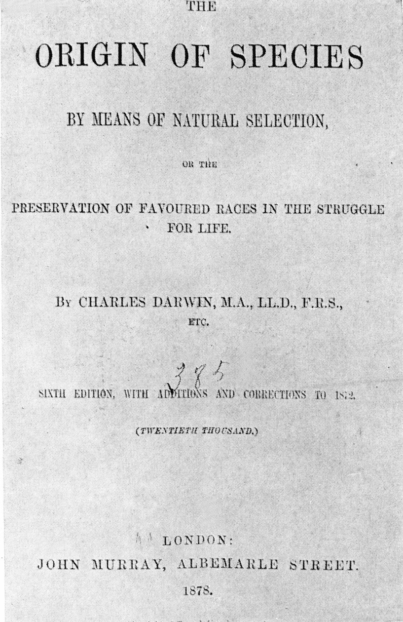 Titulní strana knihy "Původ druhů"" od Charlese Darwina (1809 - 1882). Vydání z roku 1878. od Anonymous Anonymous
