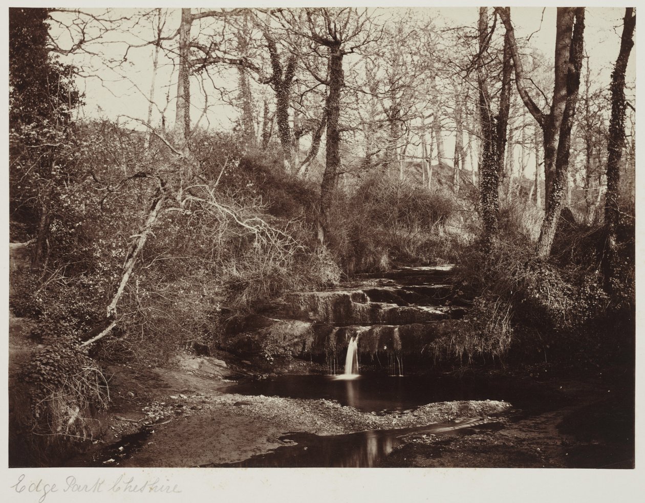 Edge Park, Cheshire, asi 1865 (albumenový tisk ze skleněného negativu) od Anonymous Anonymous