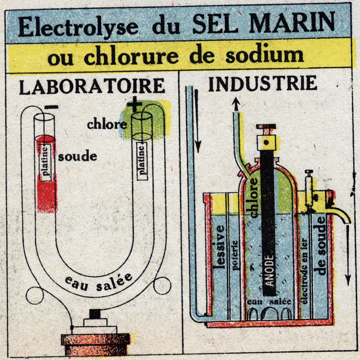 Elektrochemie: elektrolýza mořské soli nebo chloridu sodného. Anonymní ilustrace z roku 1925. Soukromá sbírka. od Anonymous Anonymous