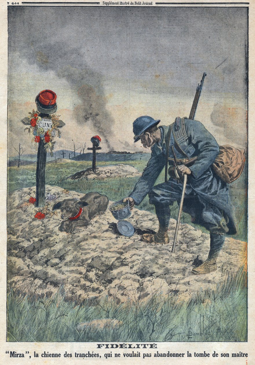 První světová válka 1914-1918 (válka 14-18). Pes odmítá opustit hrob svého mrtvého pána v příkopu. V „“Le Petite Journal“ dne 10.09.1916. Soukromá sbírka od Anonymous Anonymous