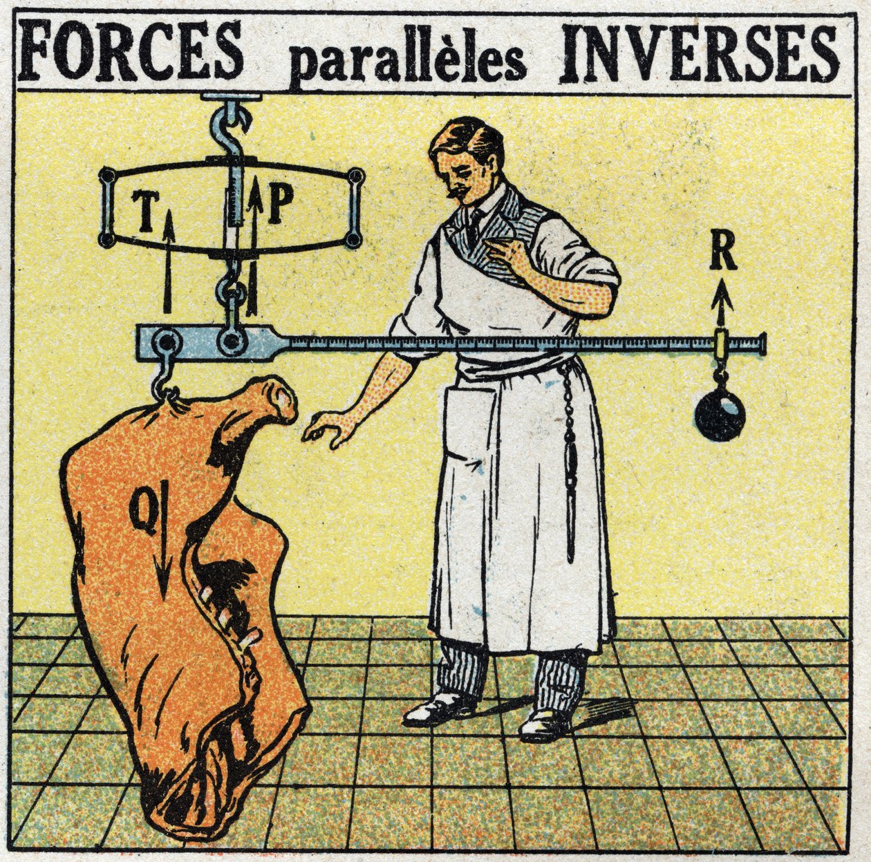Síly: obrácené rovnoběžné síly. Řezník vážící mrtvolu masa římskou stupnicí. Anonymní ilustrace z roku 1925. Soukromá sbírka. od Anonymous Anonymous
