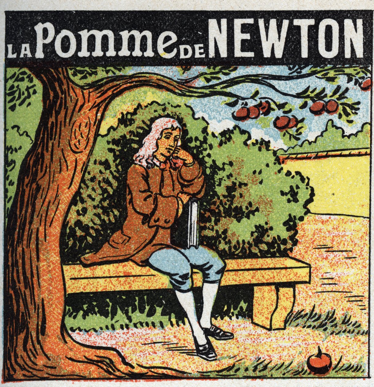 Gravitace: Newtonovo jablko. Isaac Newton (1642-1727) pozoruje jablko padající z jabloně a objevuje zákony zemské gravitace (gravitu). Anonymní ilustrace z roku 1925. Soukromá sbírka. od Anonymous Anonymous