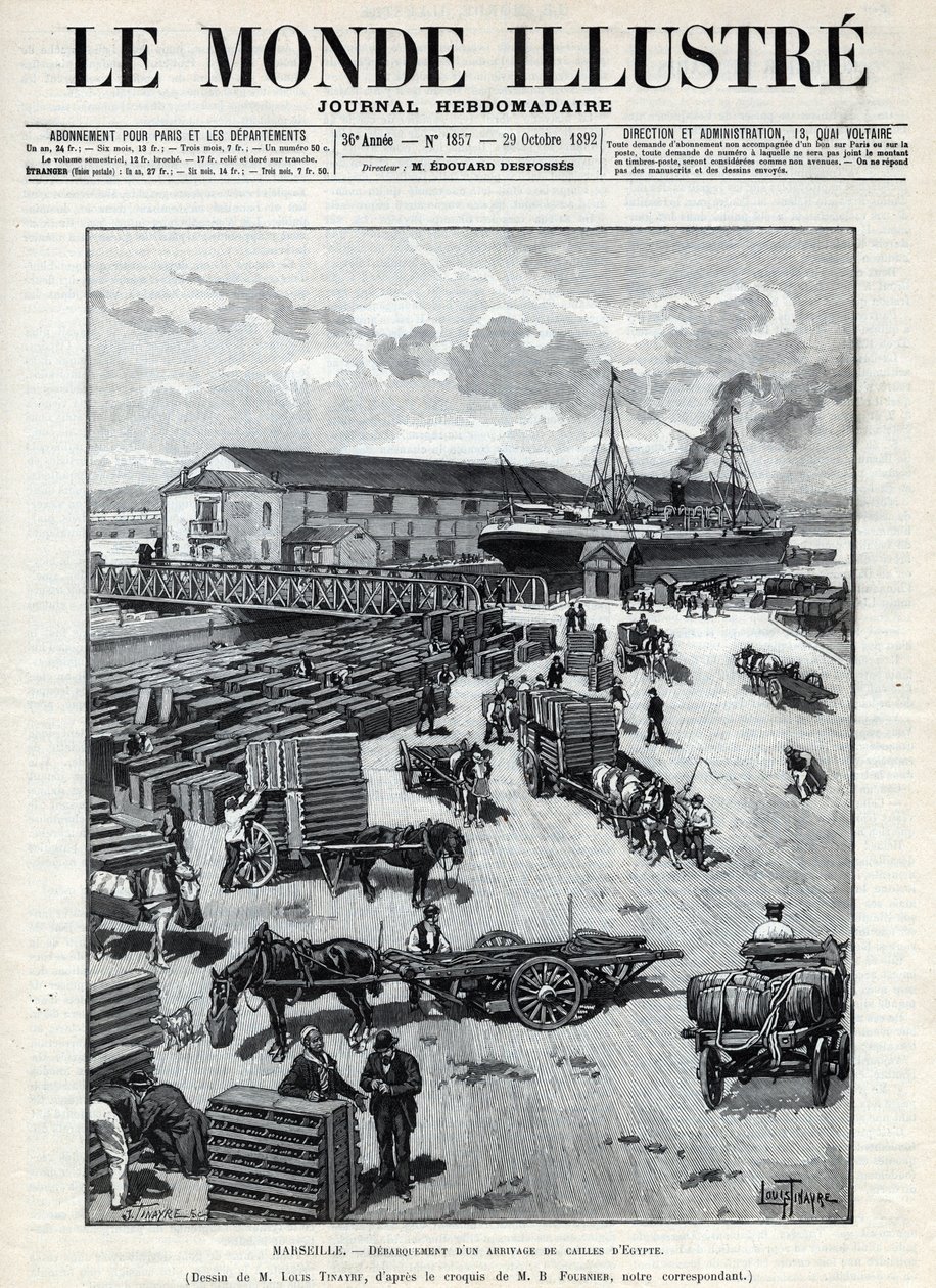 Námořní obchod: štěkot příchodu křepelek z Egypta do přístavu Marseille. Noviny. Rytina v „Le monde illustree““ z roku 1892. Soukromá sbírka. od Anonymous Anonymous