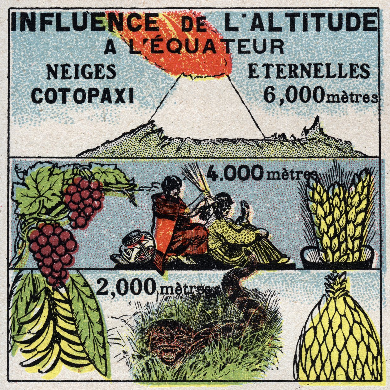 Meteorologie: vliv nadmořské výšky na klima. Anonymní ilustrace z roku 1925. Soukromá sbírka. od Anonymous Anonymous