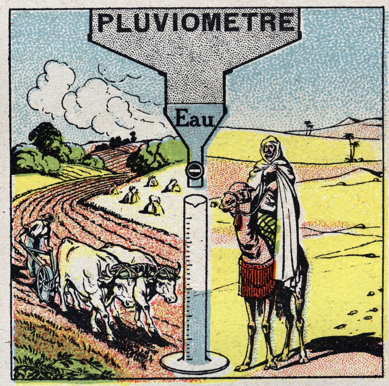 Meteorologie: vliv deště na klima, využití deště. Anonymní ilustrace z roku 1925. Soukromá sbírka. od Anonymous Anonymous