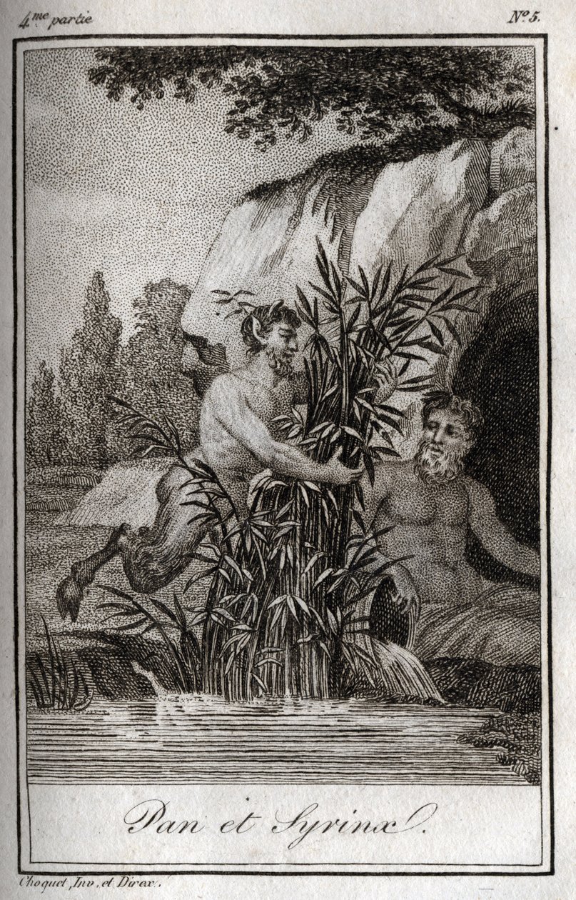 Pan a nymfa Syrinx se proměnili v rákosí (Pan a Nymph Syrinx). Rytina z roku 1819 v „Lettres a Emilie sur la mythologie“ od Charlese Alberta Demoustiera (1760-1801). Soukromá sbírka. od Anonymous Anonymous