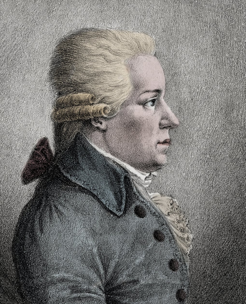 Portrét Carla (Karla) Ditterse von Dittersdorf (1739-1799), rakouského skladatele - Portrét Augusta Carla Ditterse von Dittersdorf (1739-1799), rakouského skladatele a houslisty od Anonymous Anonymous