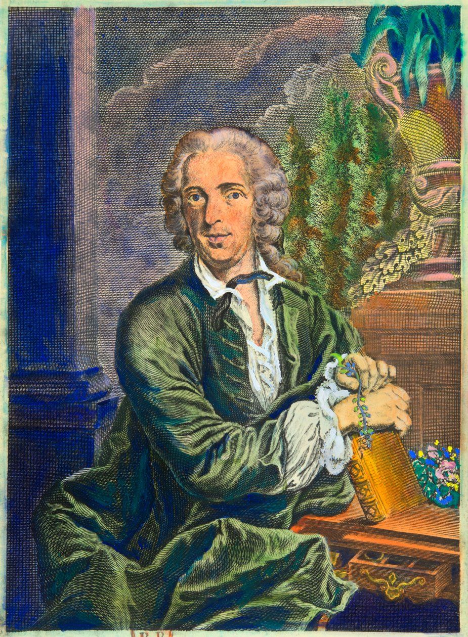 Portrét Carla von Linnea (1707-1778) švédského přírodovědce - Privee Collection od Anonymous Anonymous