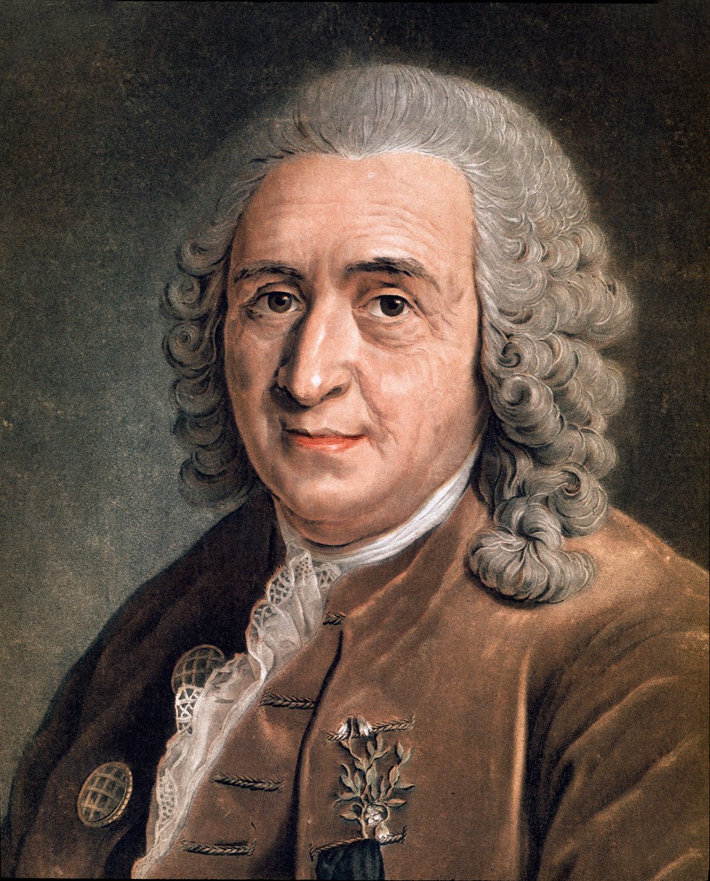 Portrét Charlese Linna (Carl von Linne, Linneus 1707 - 1778), švédského přírodovědce Anonymní malba. 18. století. Milan, soukromá sbírka od Anonymous Anonymous