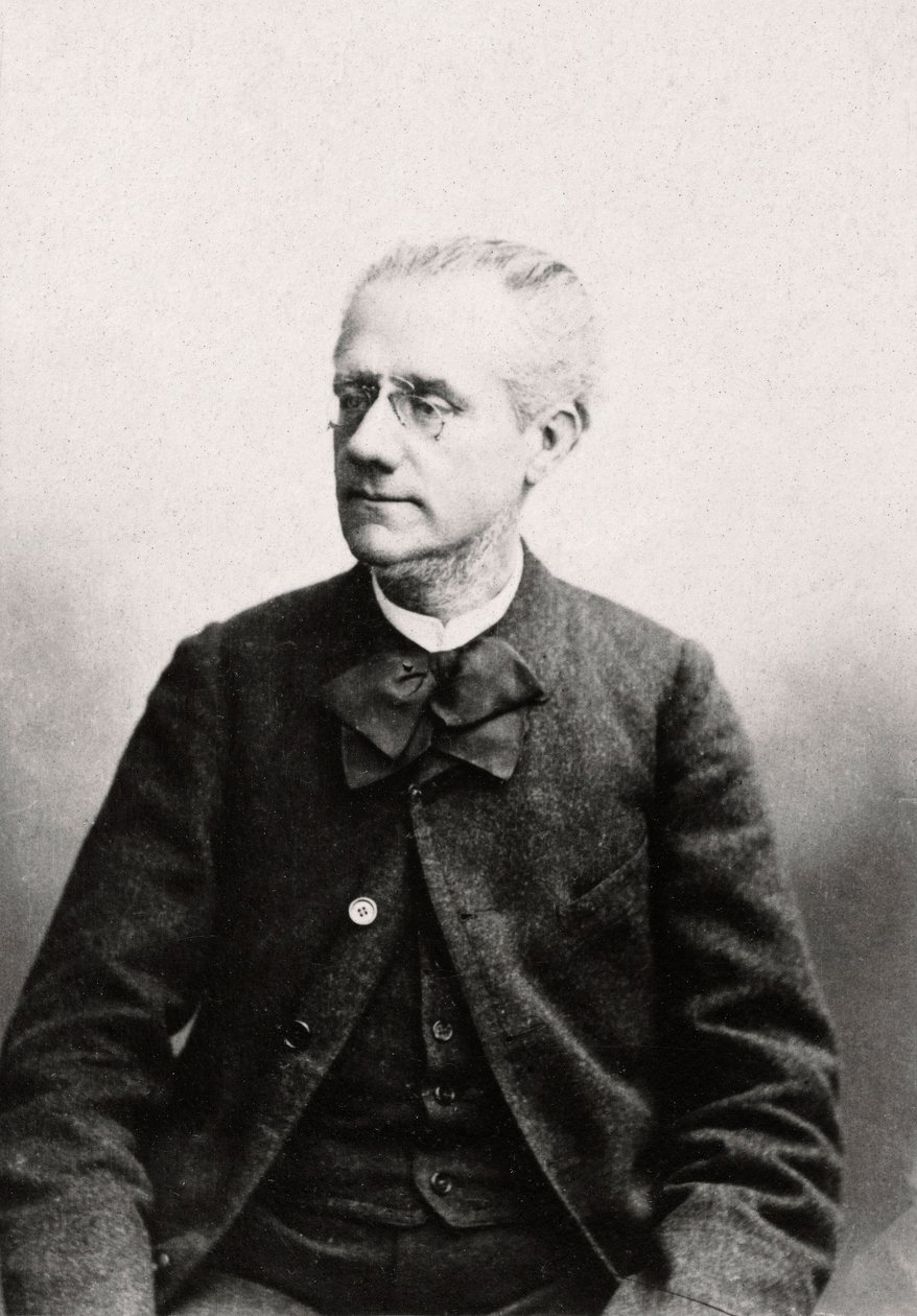 Portrét Louise Eugena Pouilleta (1835-1905) právník, soukromá sbírka od Anonymous Anonymous