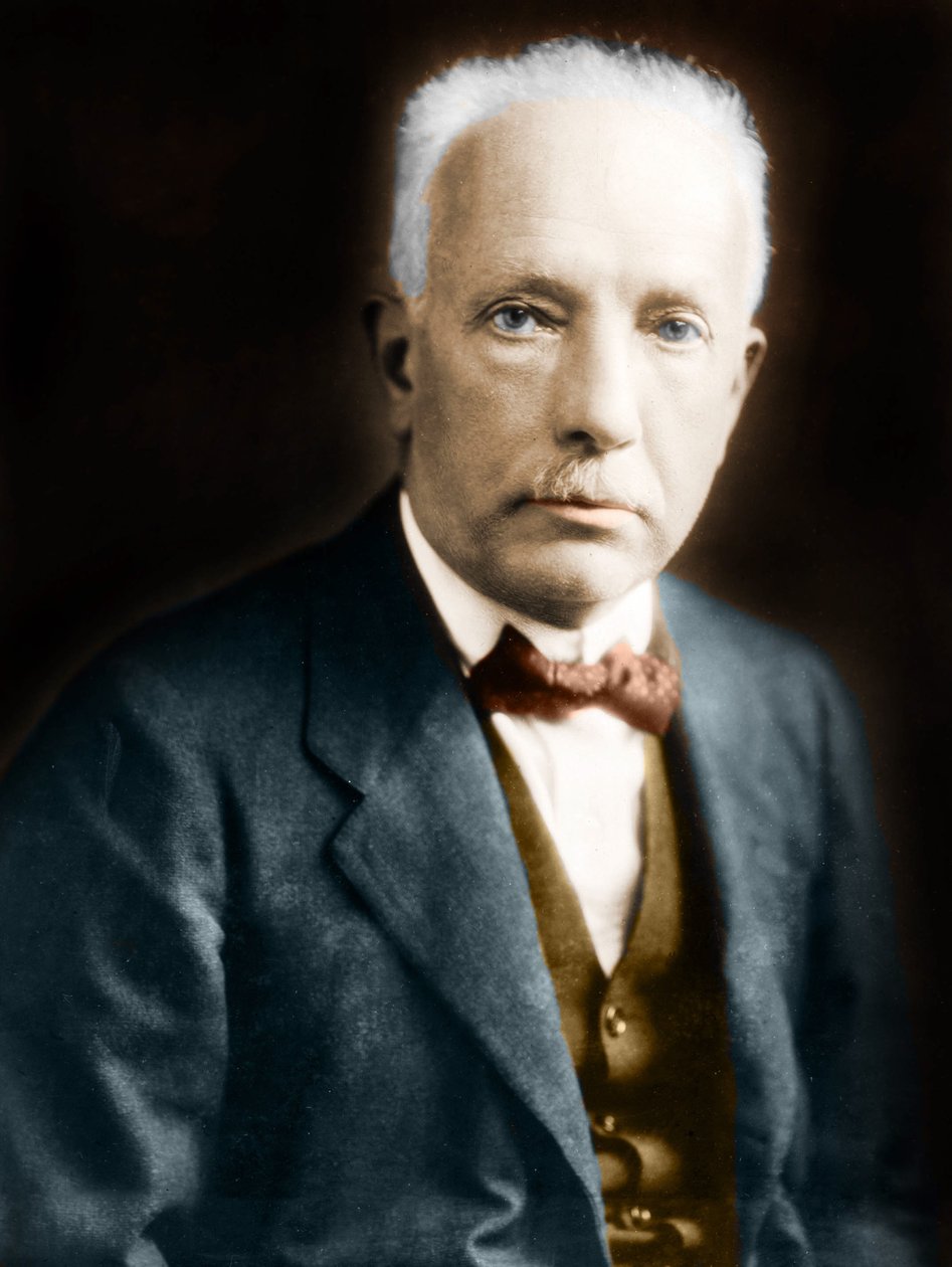 Portrét Richarda Strausse (1864-1949), německého skladatele od Anonymous Anonymous