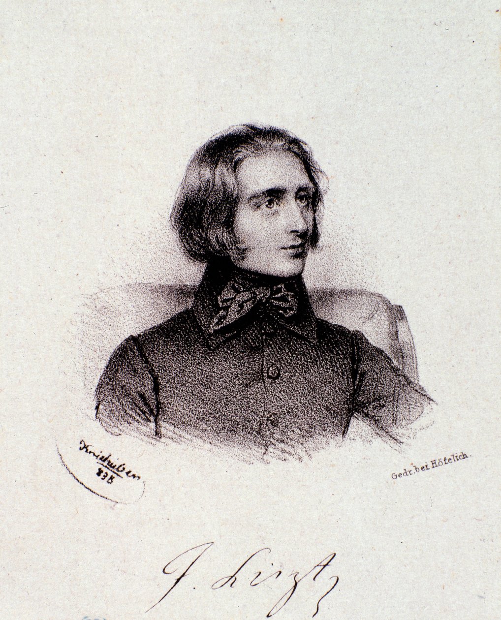 Portrét maďarského skladatele Franze Liszta (1811-1886) Rytina. 19. století. Milánská soukromá sbírka od Anonymous Anonymous