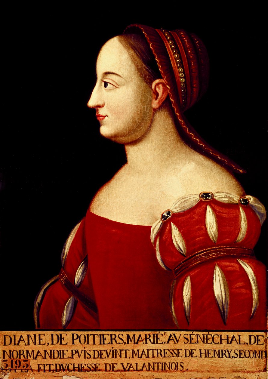 Portrét vévodkyně z Valentinois Diany de Poitiers (1499-1566), oblíbenkyně francouzského krále Jindřicha II. od Anonymous Anonymous