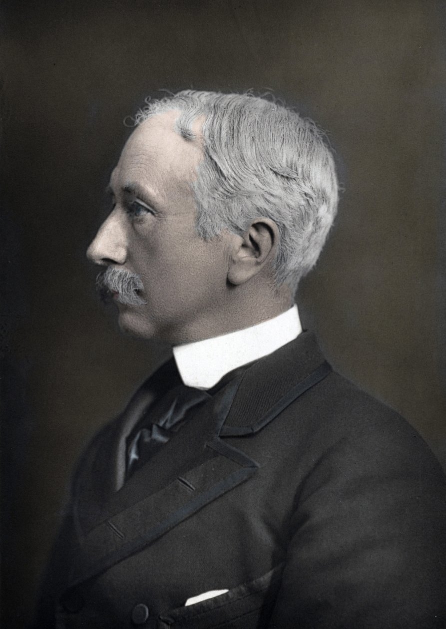 Portrét vikomta Garneta Josepha Wolseleyho (1833-1913), vrchního velitele britské armády od Anonymous Anonymous