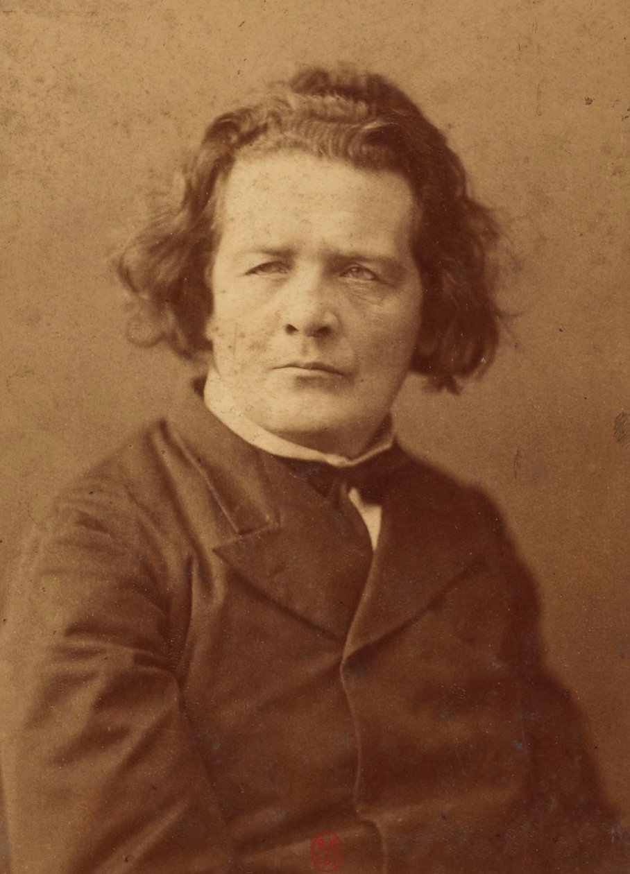 Portrét skladatele Antona Rubinsteina (1829-1894), Anonym . Foto albuminu. Soukromá sbírka od Anonymous Anonymous