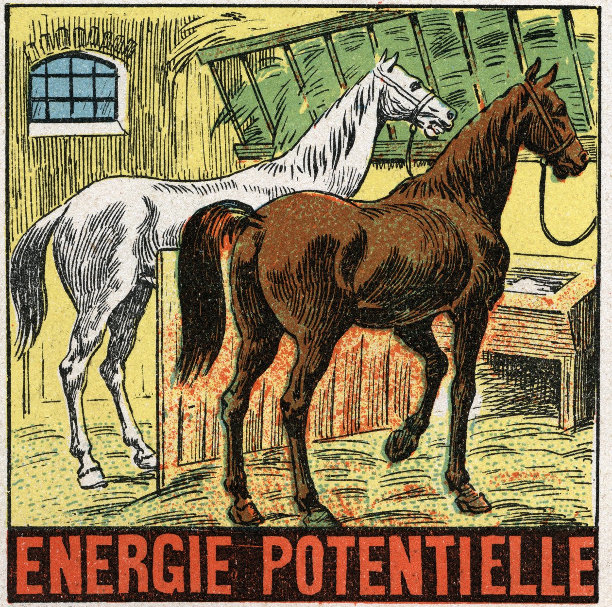 Potenciální energie: koně odpočívající ve stáji. Anonymní ilustrace z roku 1925. Soukromá sbírka. od Anonymous Anonymous