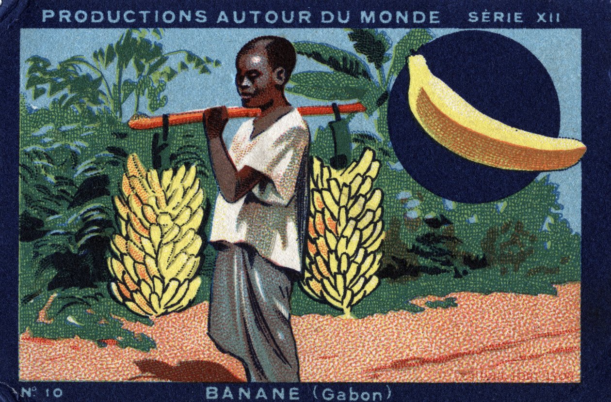 Produkce po celém světě: Banana v Gabonu. Chromolitografie z roku 1933 v „Album Joseph-Milliat““ od Anonymous Anonymous