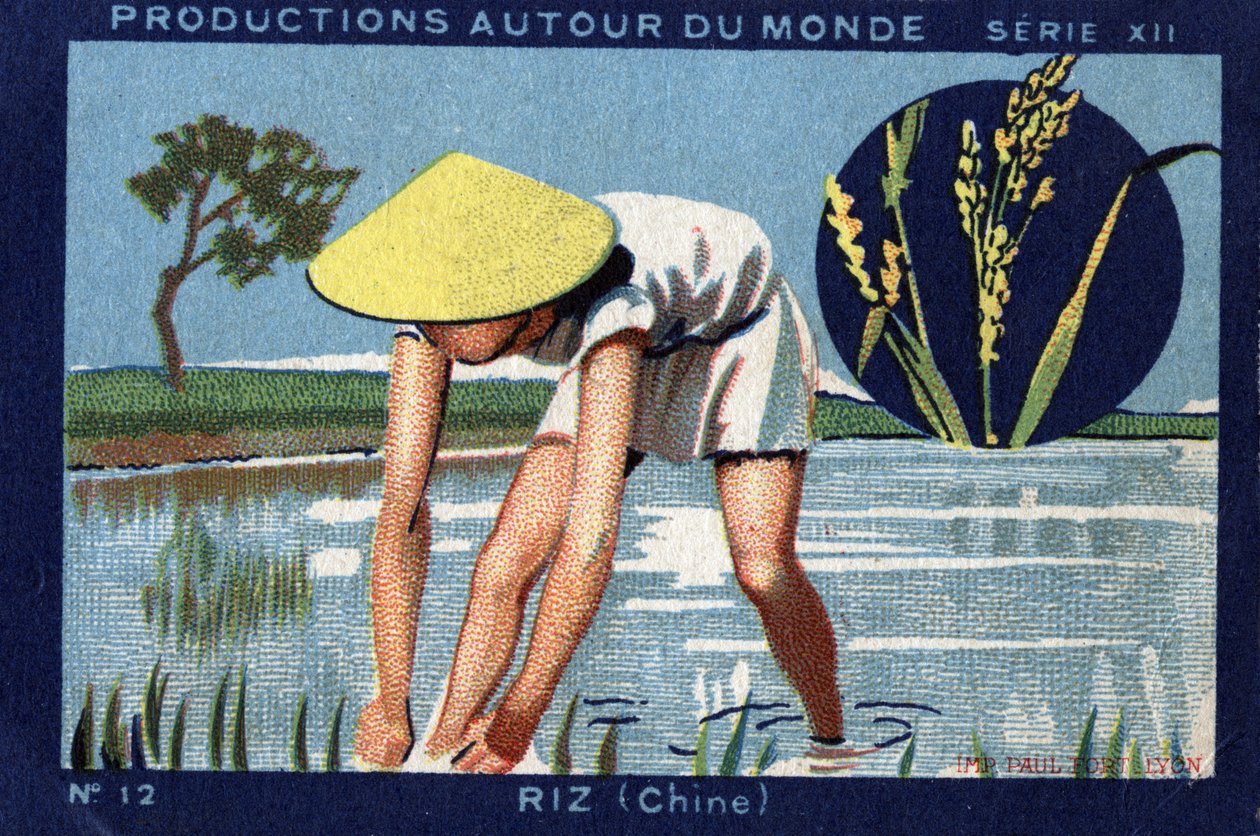 Produkce po celém světě: Rýže v Číně. 1933 Chromolitografie v „“ Album Joseph-Milliat““ od Anonymous Anonymous