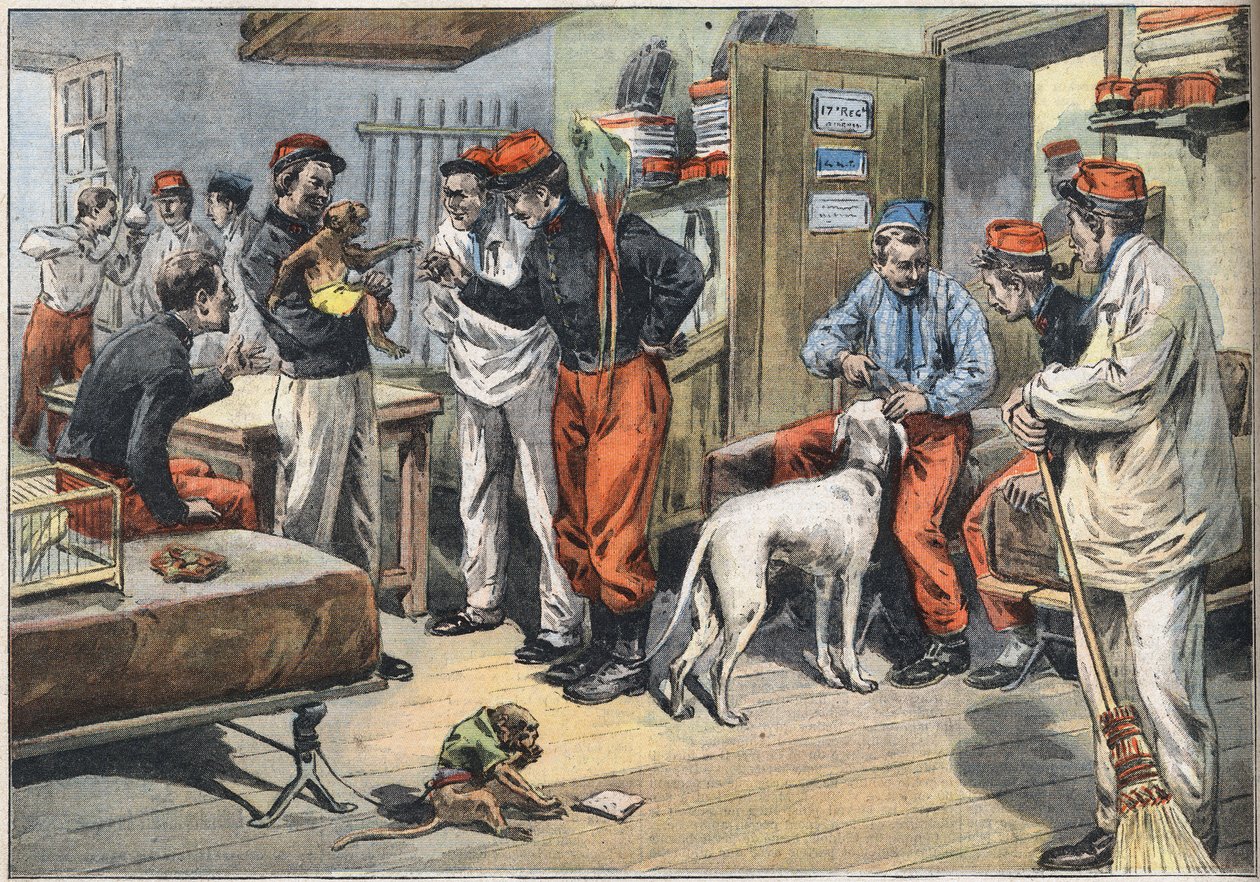 Po návratu z Afriky vojáci francouzské armády poslali do Tuniska. Rytina z novin „“Le Petité Parisien“, 7.6.1908. Soukromá sbírka. od Anonymous Anonymous