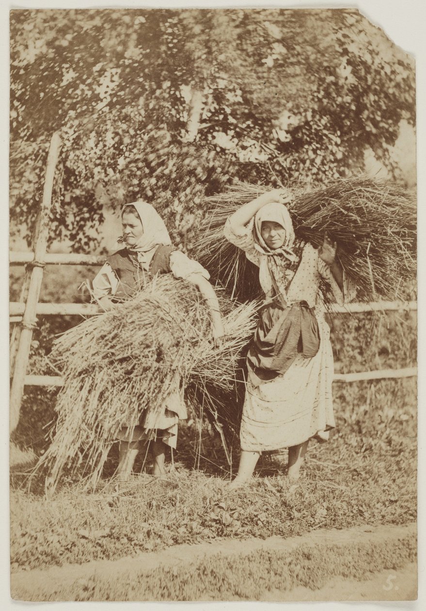 Ruské rolnice, asi 1855 (slaný tisk z negativu na voskovaném papíře) od Anonymous Anonymous