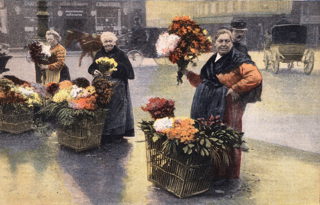 Chryzantémová párty: obchodník s chryzantémami na ulici. Rytina. Jeden z novin „Le petit parisien“ z 20.11.1910. Soukromá sbírka. od Anonymous Anonymous