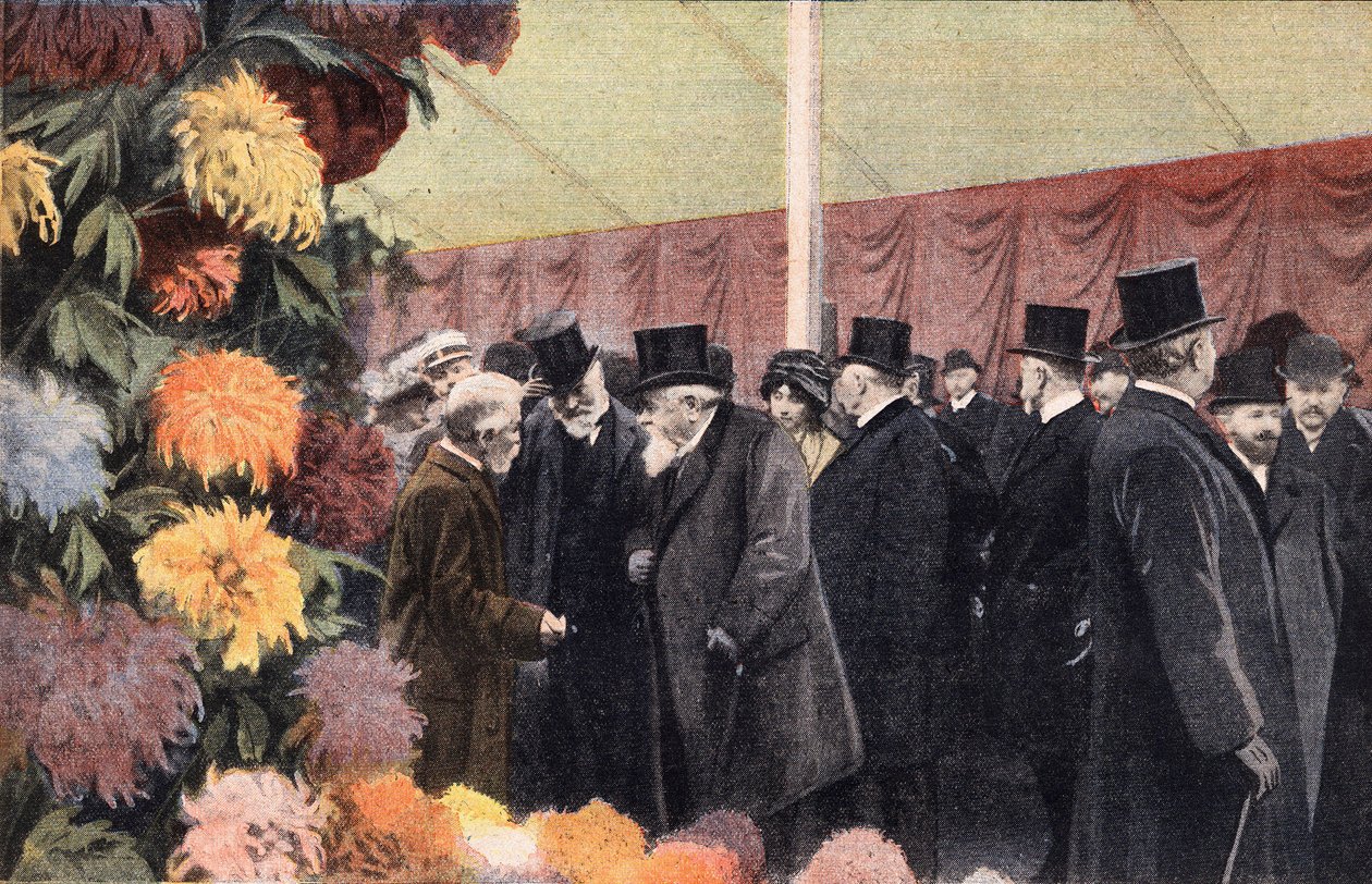 Chryzantémová párty: oficiální výstava chryzantém. Rytina. Jeden z novin „Le petit parisien“ z 20.11.1910. Soukromá sbírka. od Anonymous Anonymous