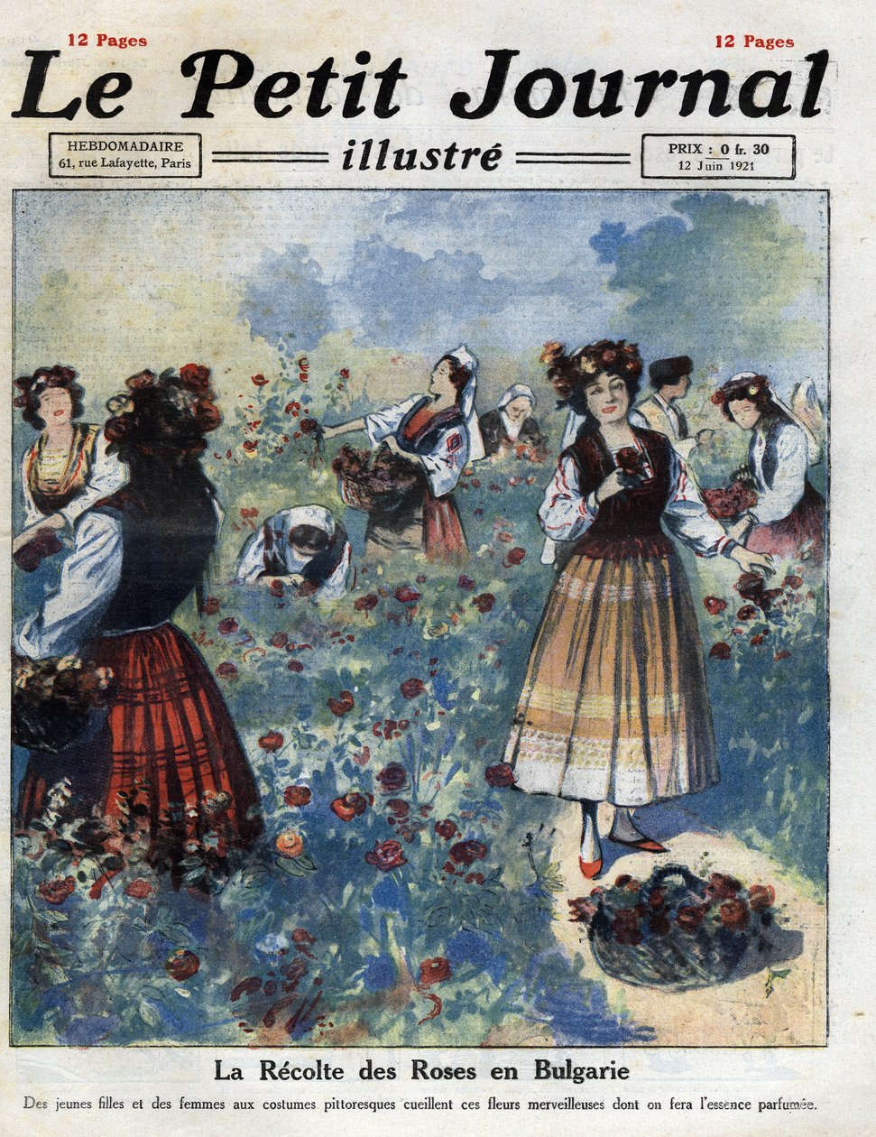 Mladé ženy v tradičním bulharském kroji trhají růže na výrobu růžové vody. Ilustrace převzata z „“Le petit journal illustrious“““ z 12.06.1921. Soukromá sbírka od Anonymous Anonymous