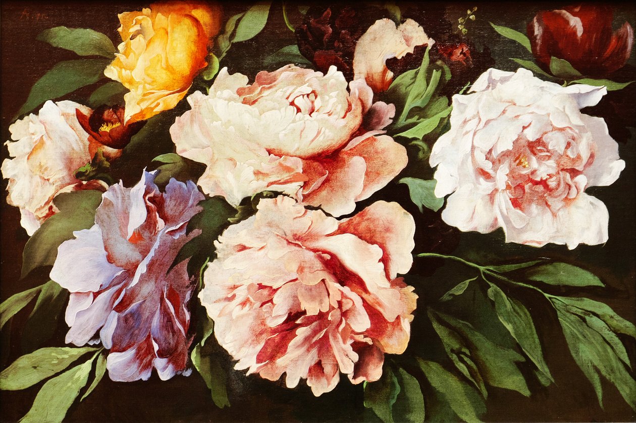 Pivoňky od Anselm Feuerbach