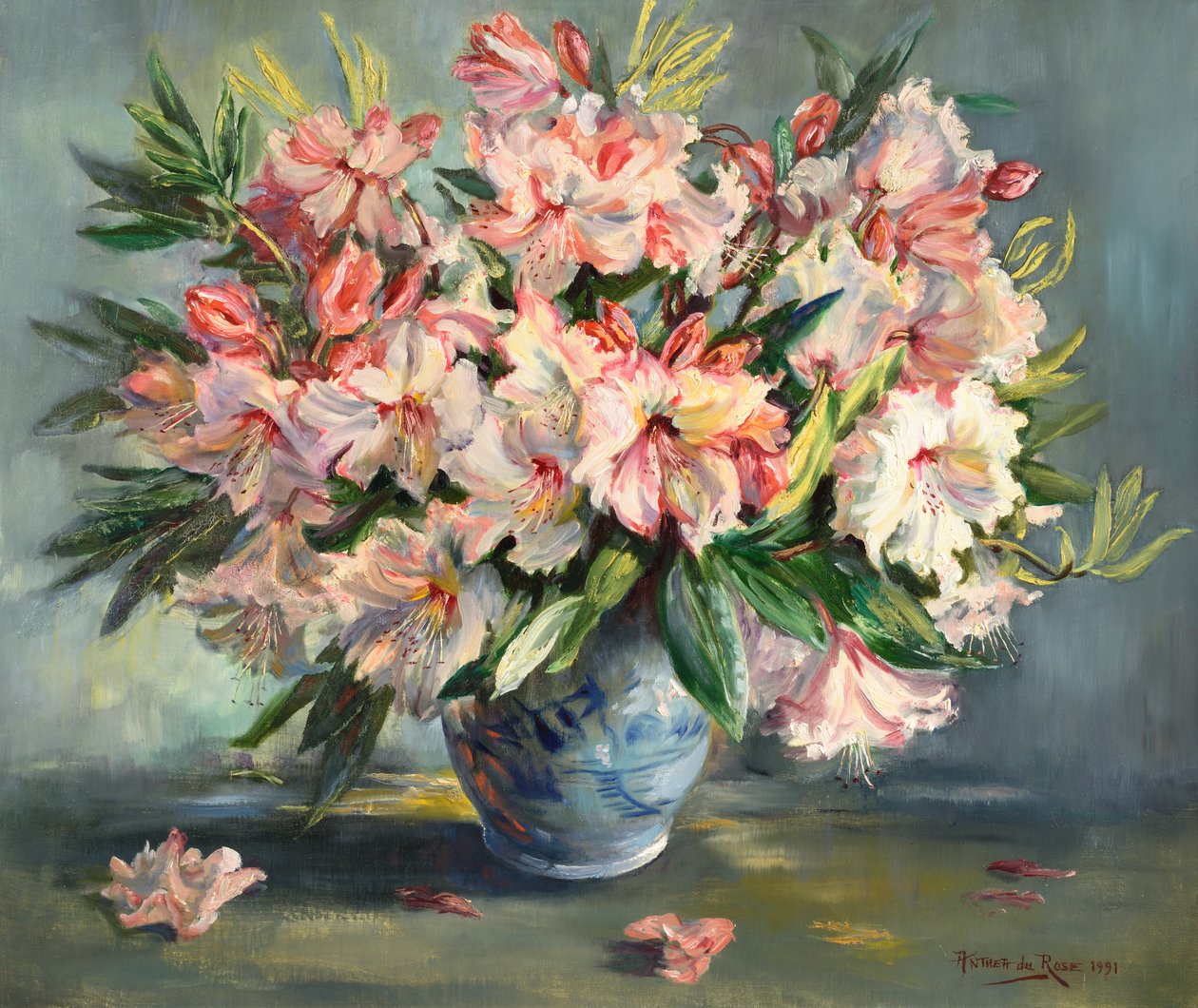rododendrony od Anthea Durose