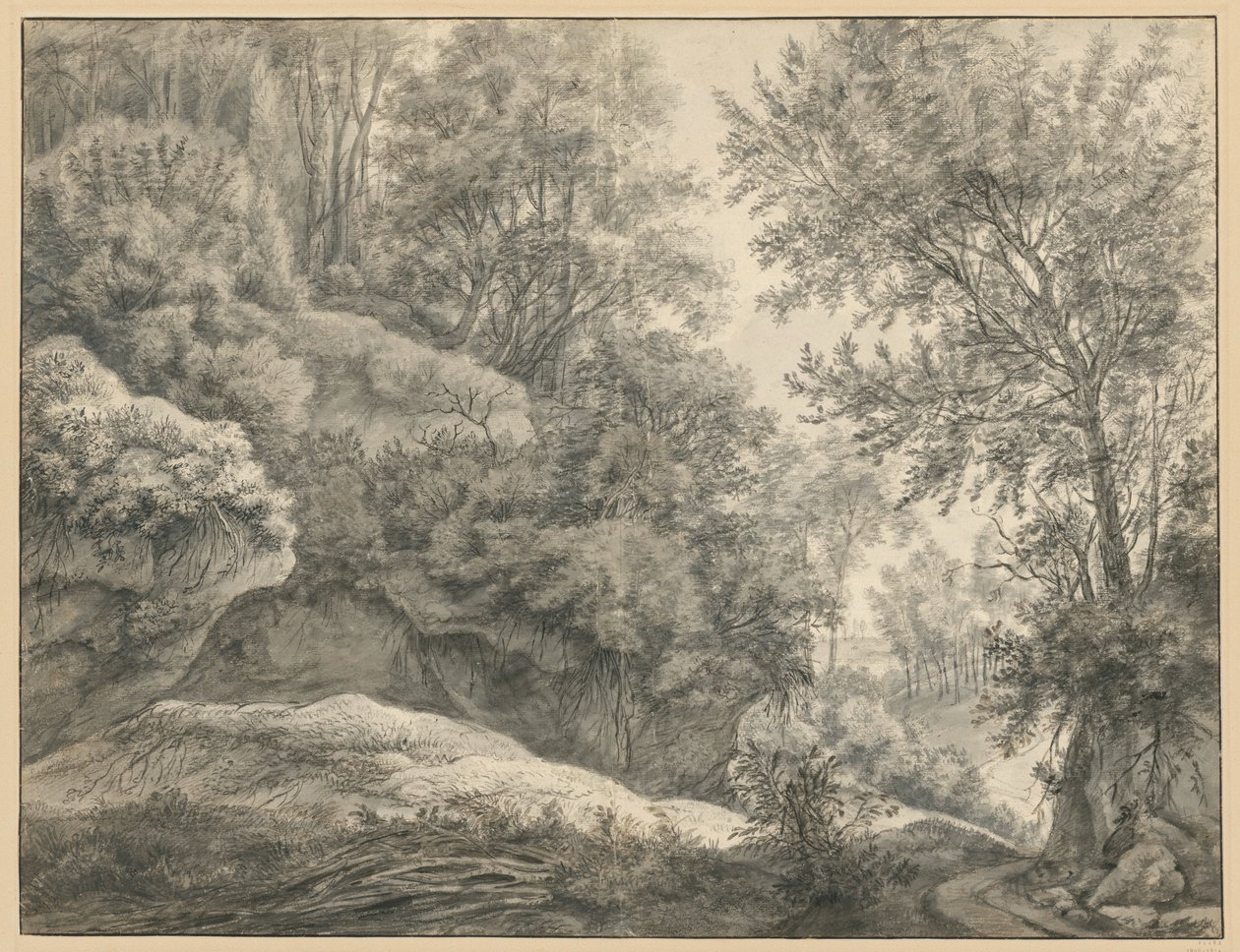 Studie lesa od Anthonie Waterloo