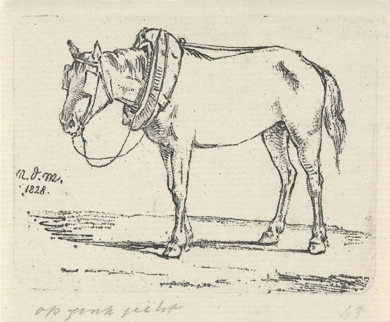složený kůň od Anthonie Willem Hendrik Nolthenius de Man