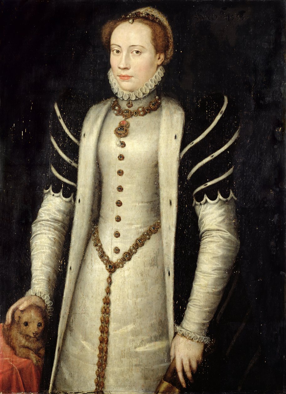 Portrét šlechtičny se štěnětem, 1555 (olej na dubové desce) od Anthonis Mor
