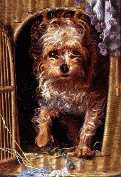 Darby, jorkšírský teriér (olej na desce) od Anthony Frederick Augustus Sandys