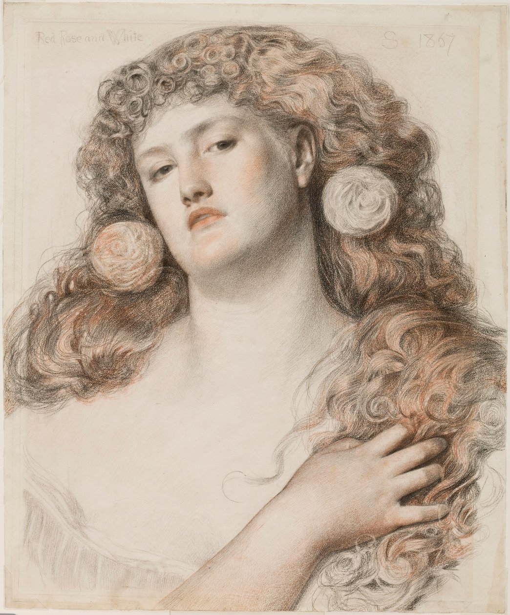 Červená růže a bílá, 1867 (křída na papíře) od Anthony Frederick Augustus Sandys