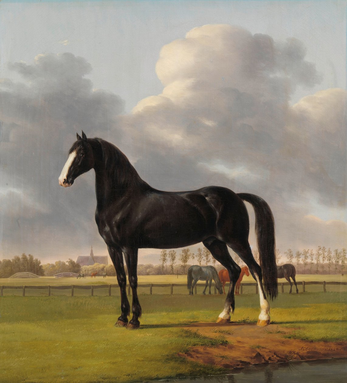 Klusák Adriaana van der Hoopa 