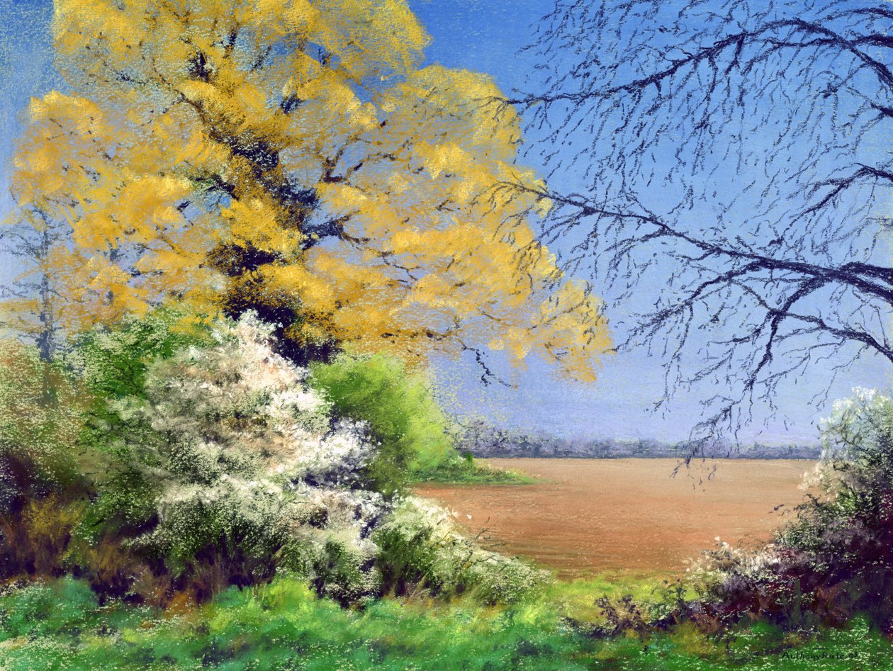 Trnka zima, 2003 od Anthony Rule