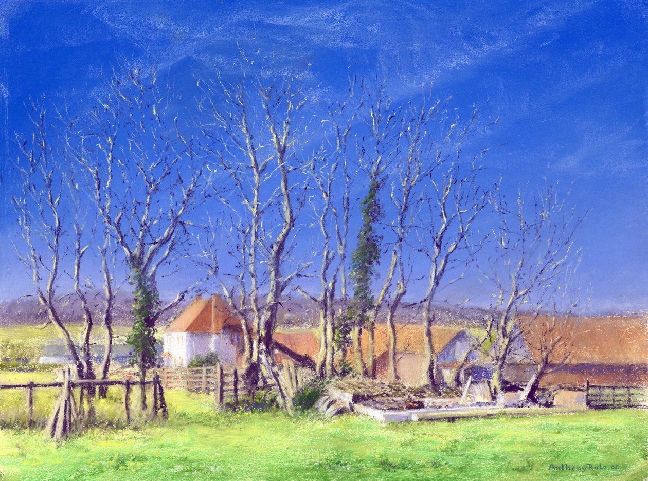 Brockwell Farm, 2005 od Anthony Rule