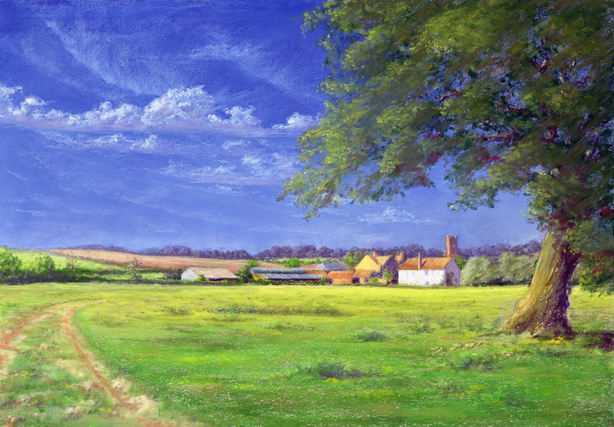 Domácí pole, 2004 od Anthony Rule