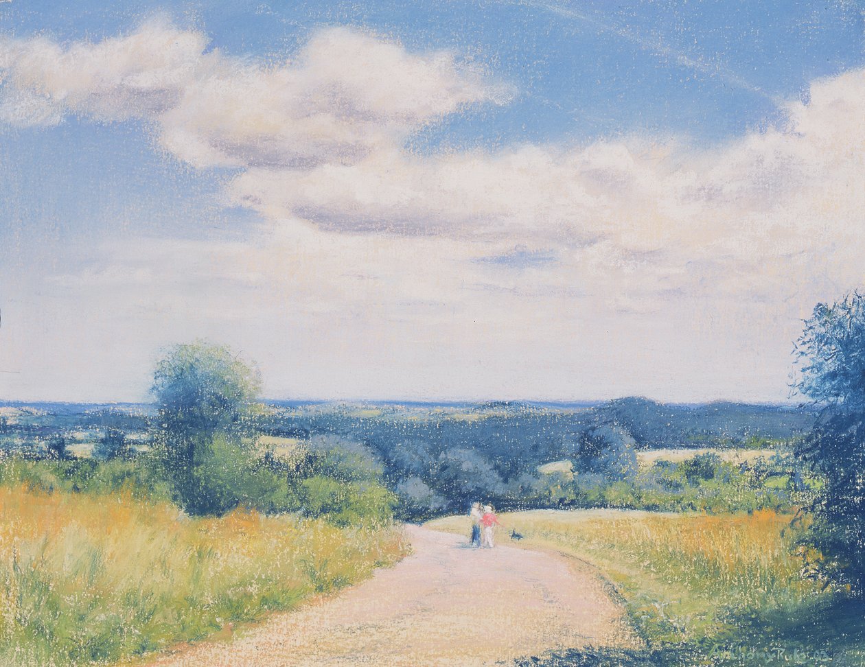Nedělní procházka, 2003 od Anthony Rule