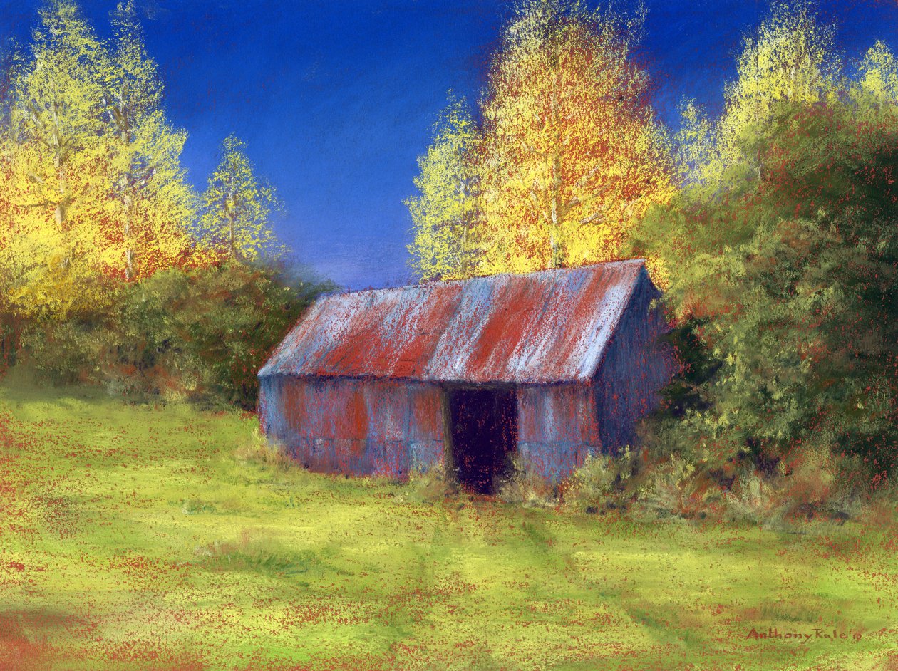 Stará plechová bouda, 2010 od Anthony Rule