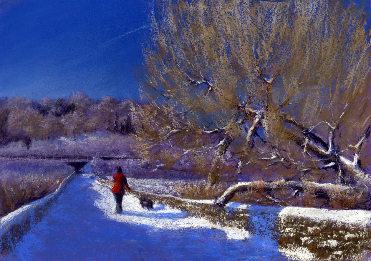 Zimní procházka, 2012 od Anthony Rule