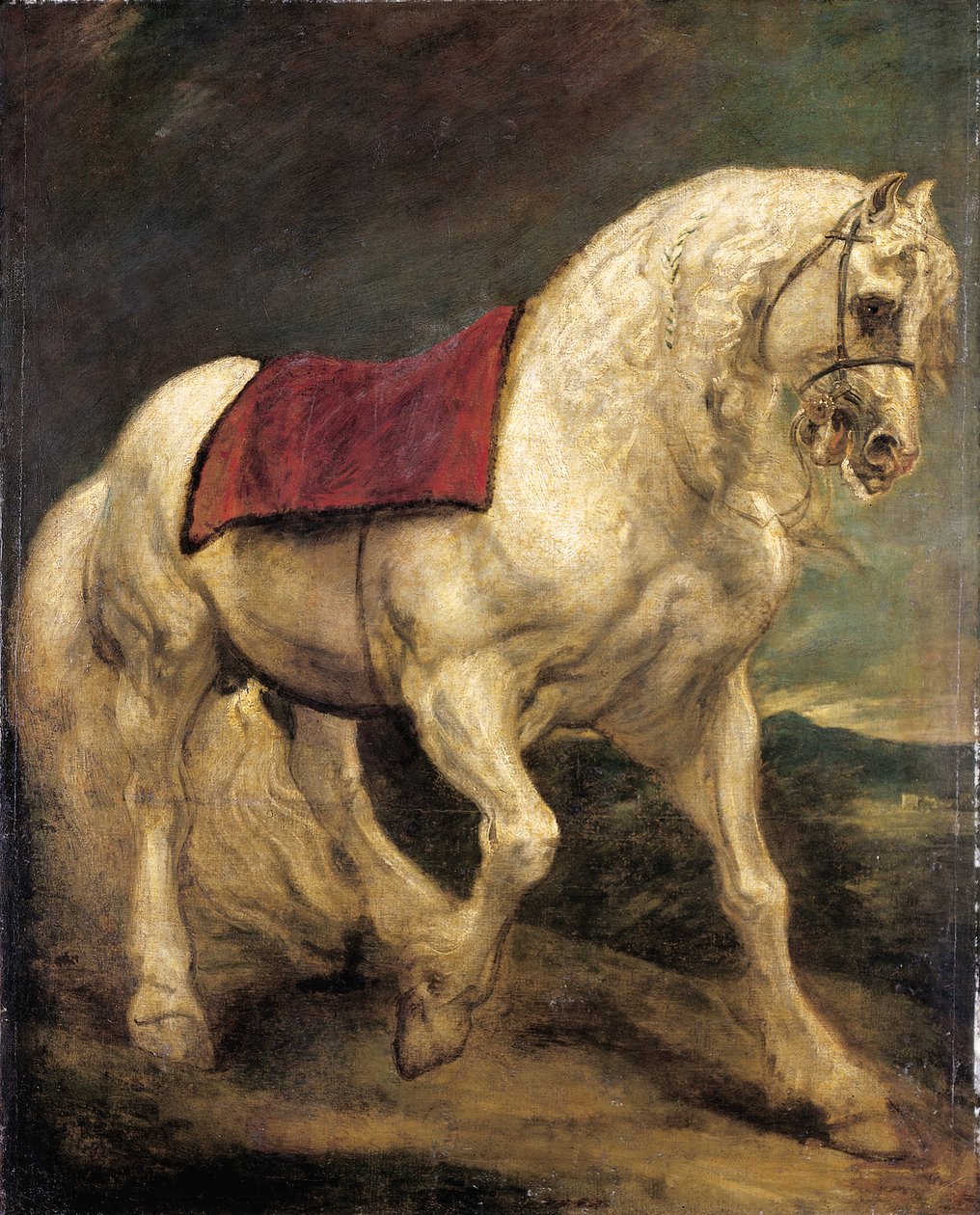 Uzdený šedý hřebec se sedlovou látkou a částečně spletenou hřívou: modello od Anthony van Dyck