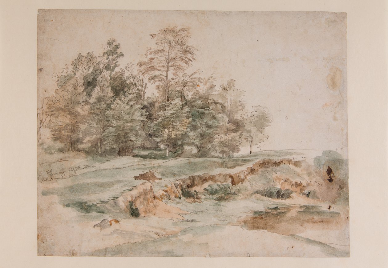 Shluk stromů u zalesněné cesty (tužka a akvarel na papíře) od Anthony van Dyck