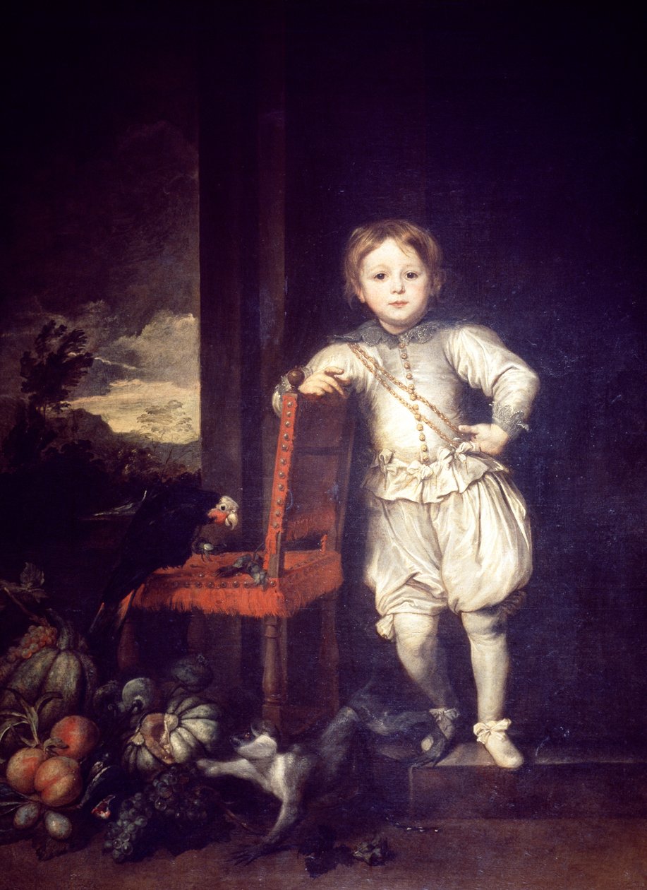 Dítě v bílých šatech, Anthony van Dyck (1599-1641) od Anthony van Dyck